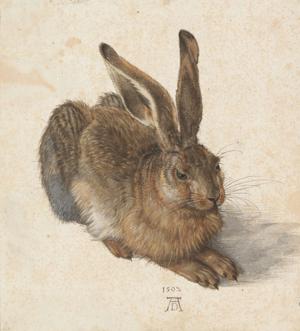 Artwork by Albrecht Dürer (1471-1528)