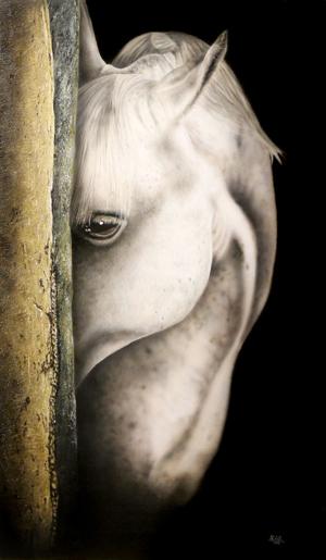 Artwork by Ivan Pili