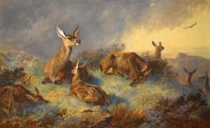 Artwork by Archibald Thorburn (1860-1935)