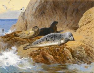 Artwork by Archibald Thorburn (1860-1935)