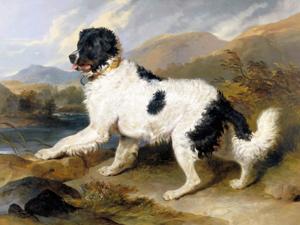 Artwork by Edwin Landseer (1802-73)