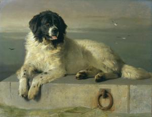 Artwork by Edwin Landseer (1802-73)