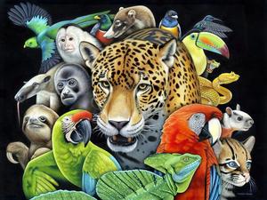 Artwork by Nathan Miller