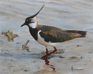 Artwork by Clive Meredith