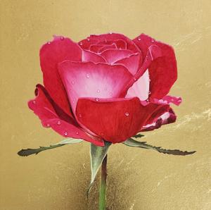 Artwork by Clive Meredith