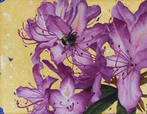 Artwork by Clive Meredith
